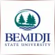 Bemidji State University - Theatre School Ranking