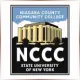 Niagara County Community College - Theatre School Ranking