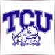 Texas Christian University - Theatre School Ranking