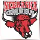University of Nebraska at Omaha - Theatre School Ranking