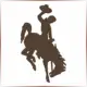 University of Wyoming - Theatre School Ranking